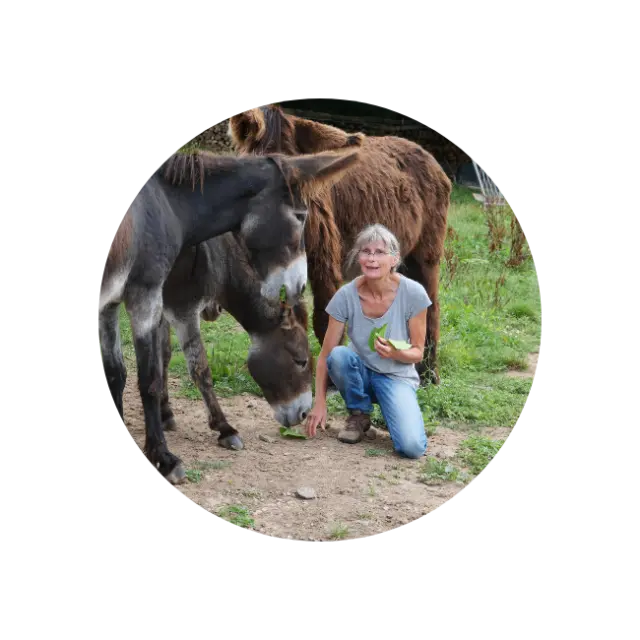 Fabienne Friand Histoires Danes