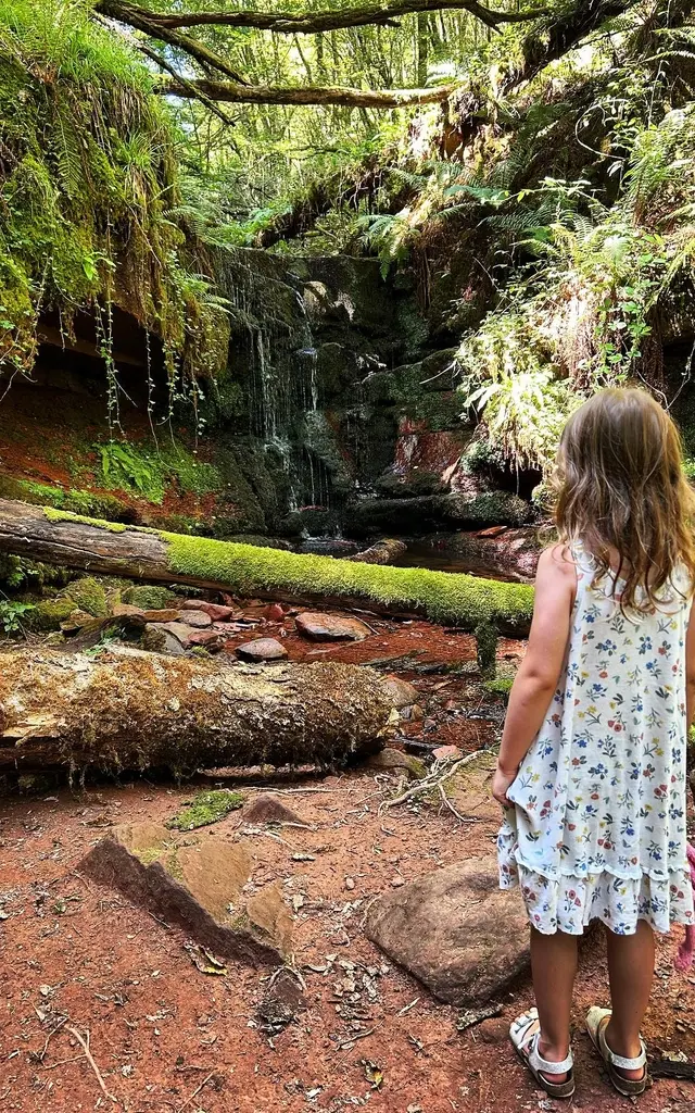 Instagram #collongeslarouge