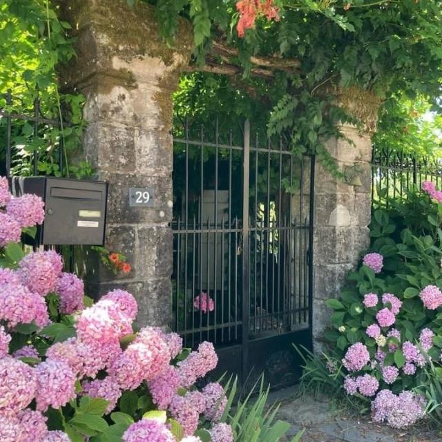 Instagram #curemonte