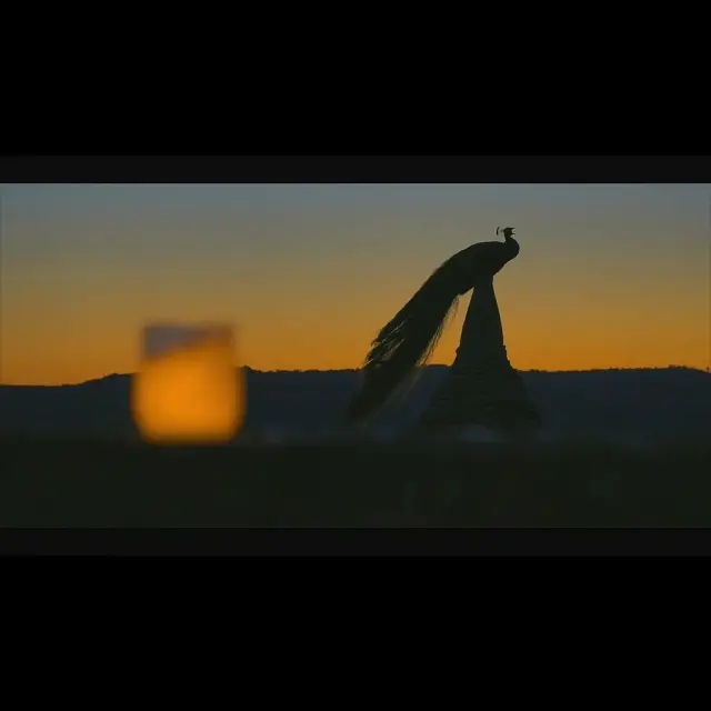 Instagram #valleedordogne