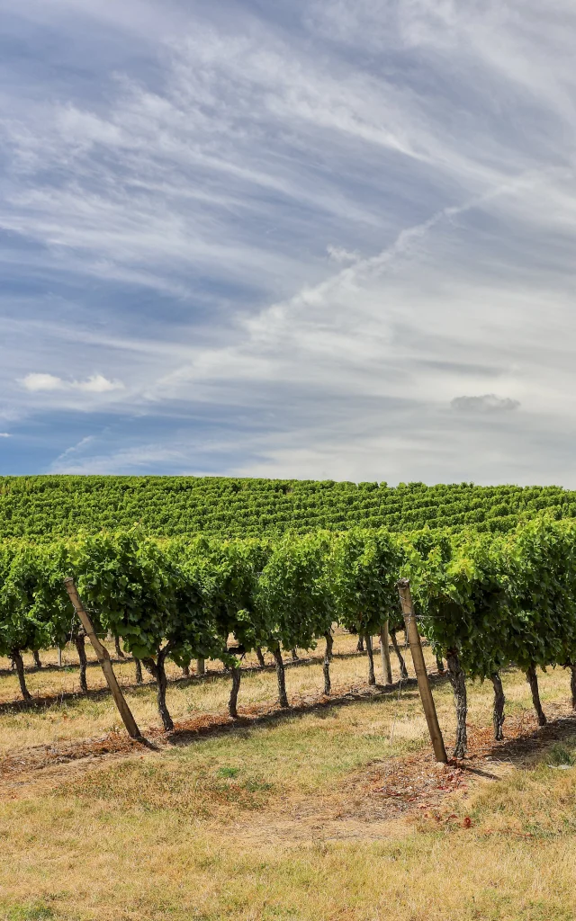 183 Bergerac Luc.fauret.photographe Expireson 2025 01 01 1
