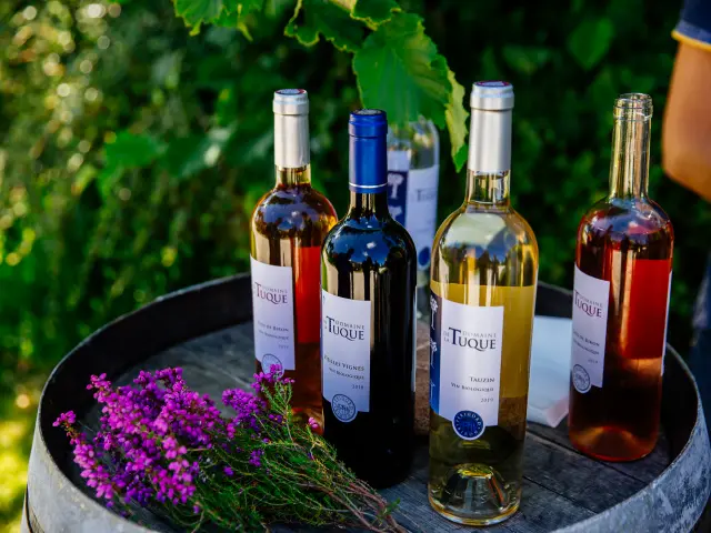 2023 Promenade Au Chateau De Biron Les Conteurs