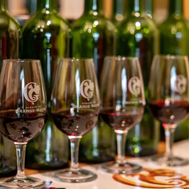 CDT 24 - Expérience Domaine de Grange Neuve