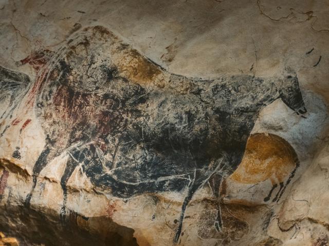 8449 Grottes De Lascaux Brock Betty Expireson 2029 08 01 Copie