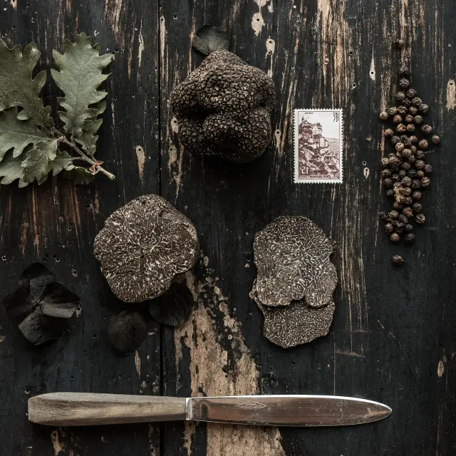 Cauvaldor Truffe Lifestyle Malikaturin 2808.jpg 1920px