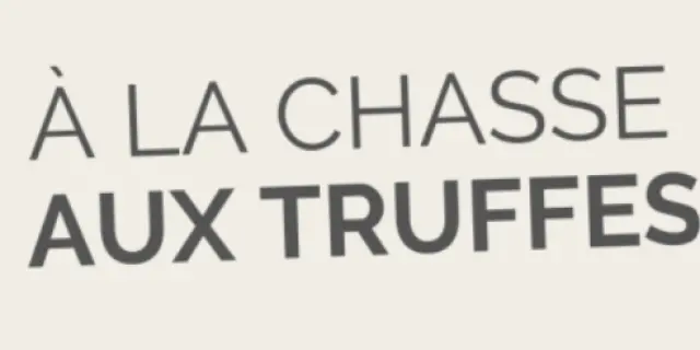 Chasse Aux Truffes