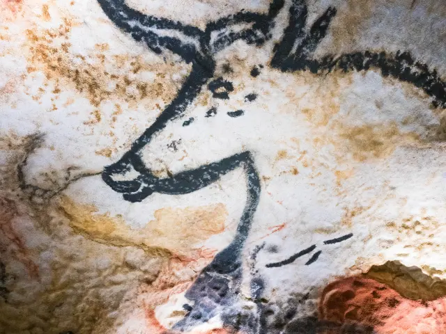 Ot Vallee Vezere By Les Coflocs Lascauxiv 33