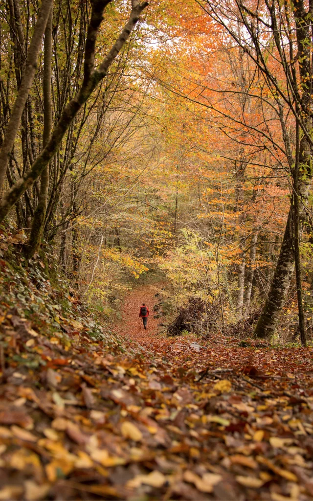 Automne en Vallée de la Dordogne