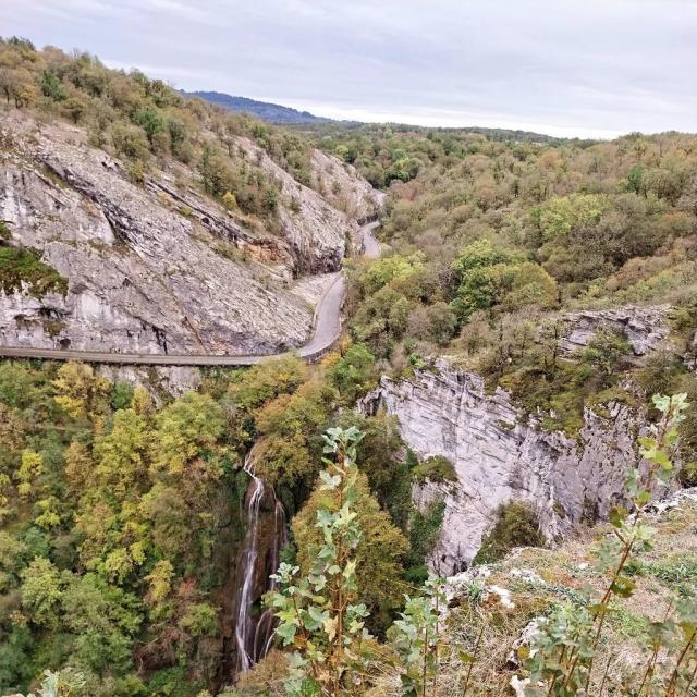 Instagram #autoire