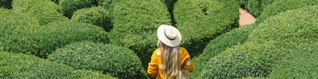 8436 Les Jardins De Marqueyssac Brock Betty Expireson 2029 08 01