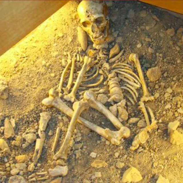 Squelette Homme de Néandertal