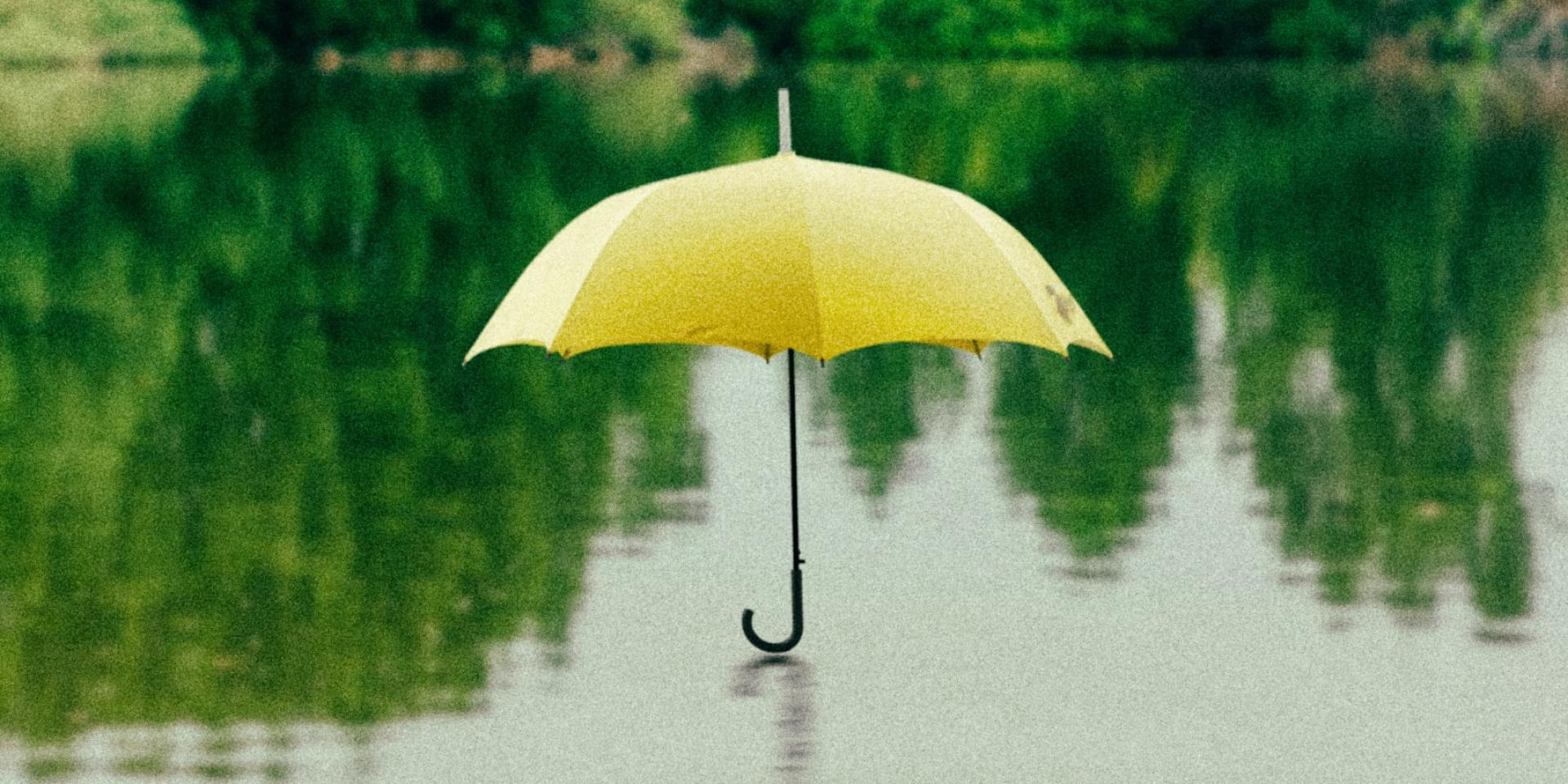 Saffu Bmtg7lrcry4 Unsplash