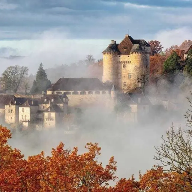 Instagram #curemonte