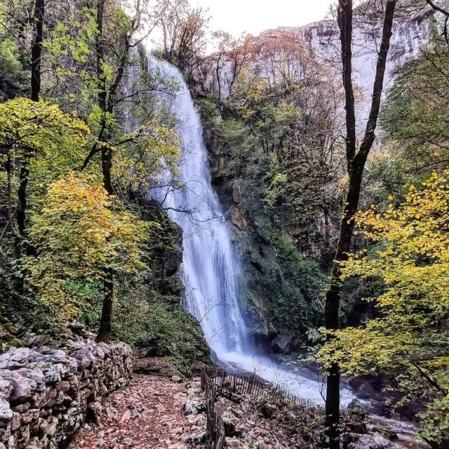 Instagram #autoire