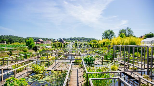 2345 Balade Aux Jardins D Eau De Carsac Les Conteurs