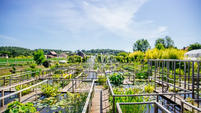 2345 Balade Aux Jardins D Eau De Carsac Les Conteurs