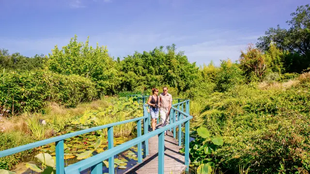 Capture Decran 2023 11 23 A 12.08.48