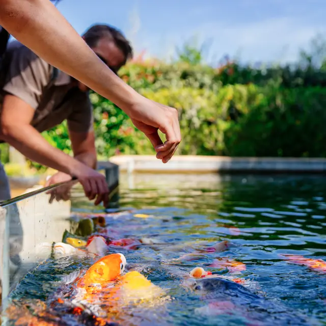 Capture Decran 2023 11 23 A 12.09.25