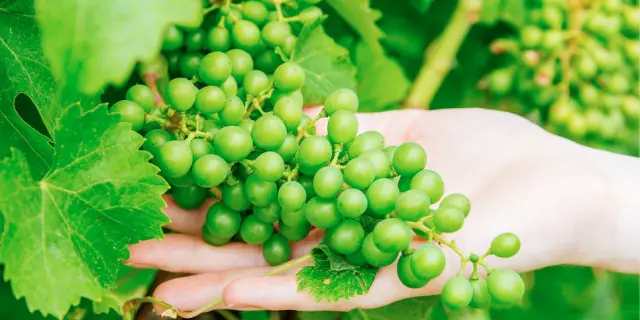 Capture Decran 2023 11 23 A 20.08.40