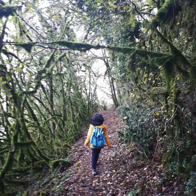 Instagram #valleedeladordogne