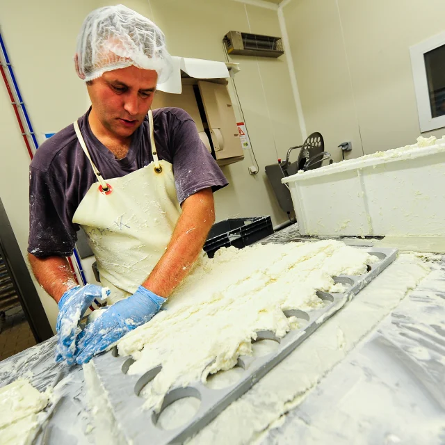 producteur de fromage
