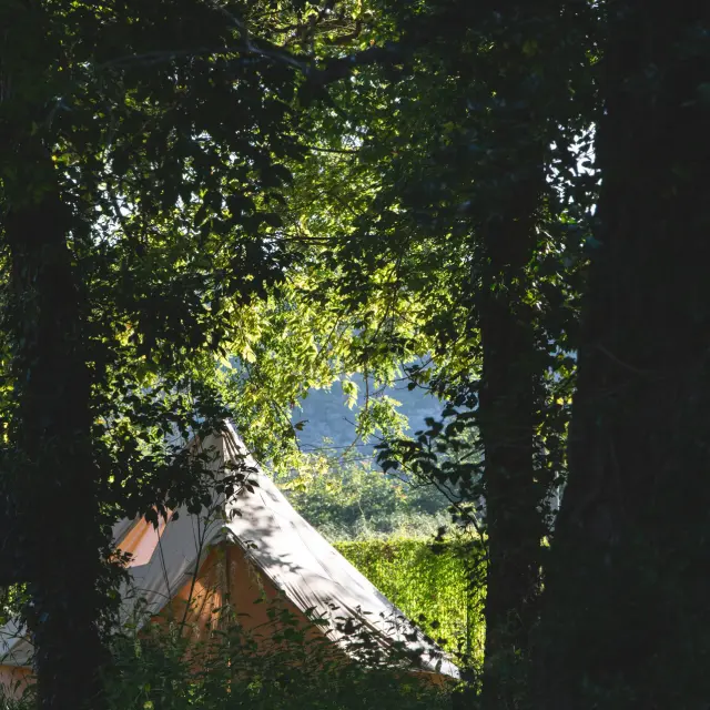 02822 Otvd Cc By Ncdan Courtice Penn Graphics.jpg 1920px