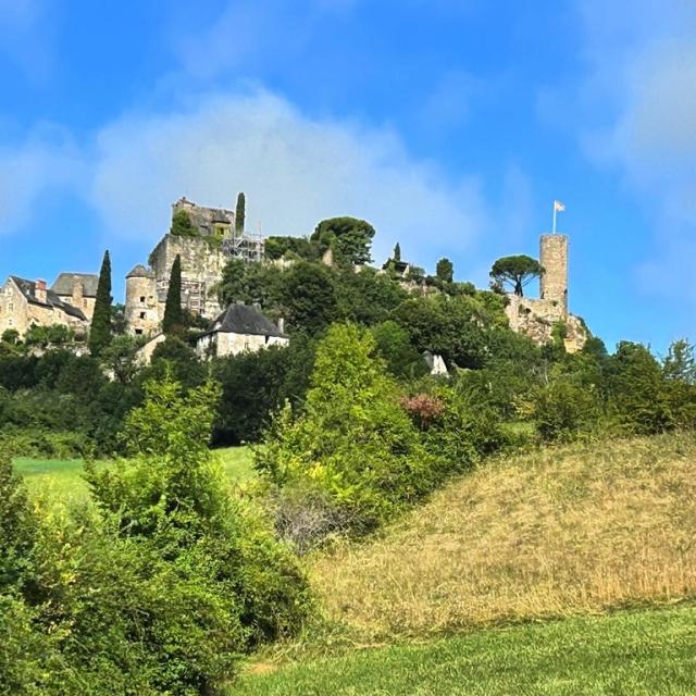 Instagram #turenne
