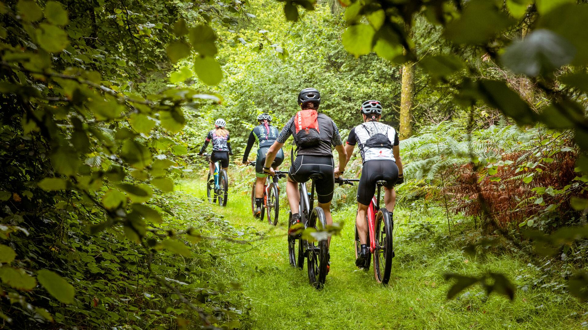 VTT