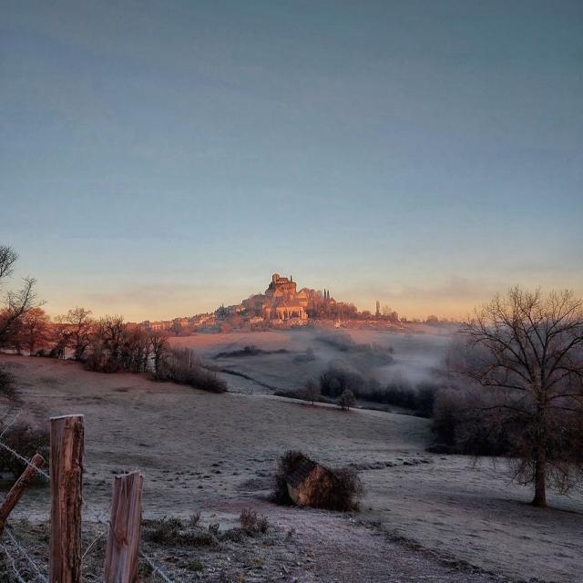 Instagram #turenne