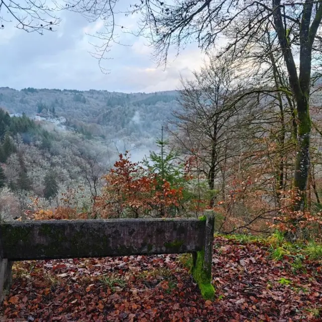 Instagram #valleedeladordogne