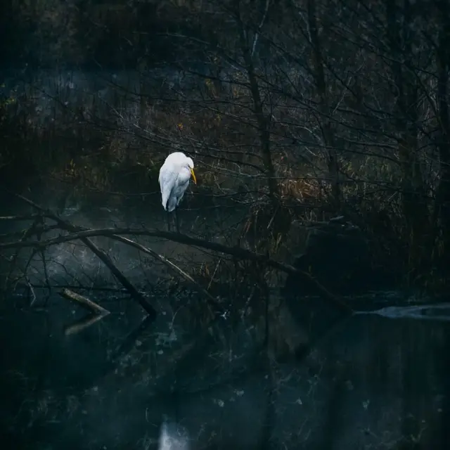 Instagram #valleedeladordogne