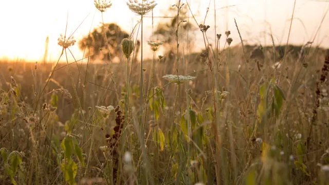 Domaine de Bel Air, Le Bastit