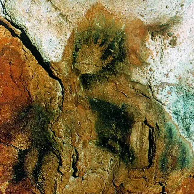 Grotte Des Merveilles