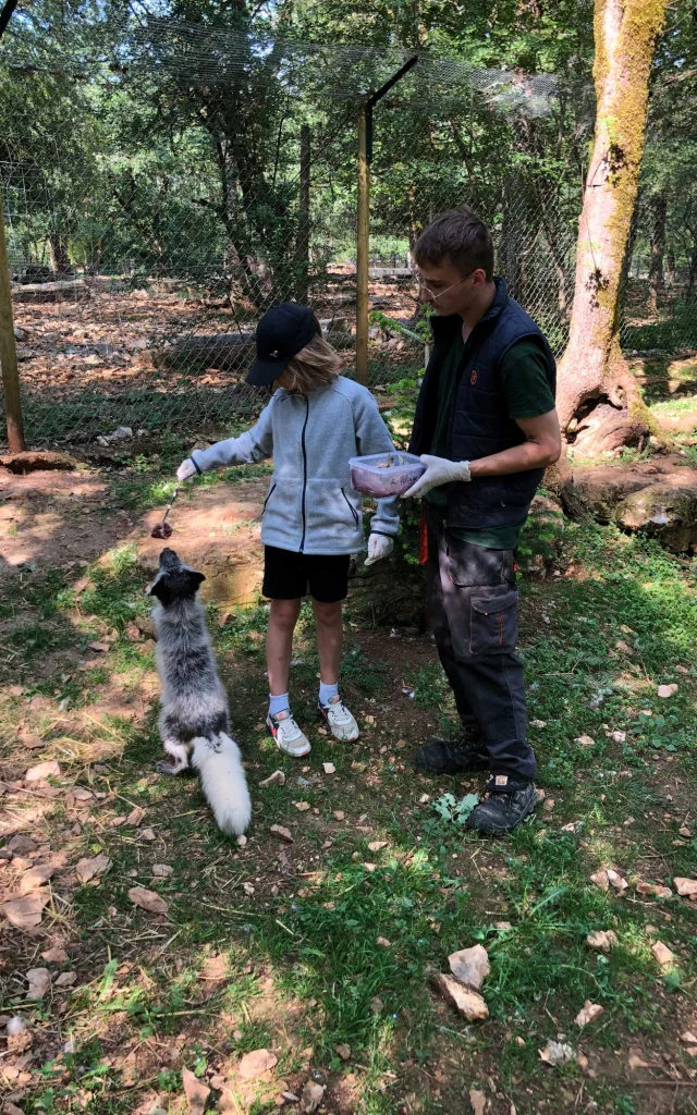 Soigneur Un Jour Parc Animalier Gramat