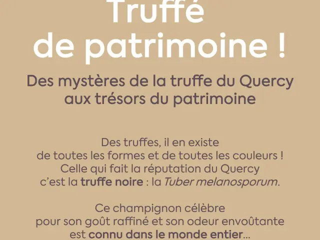 Expo Truffé de patrimoine
