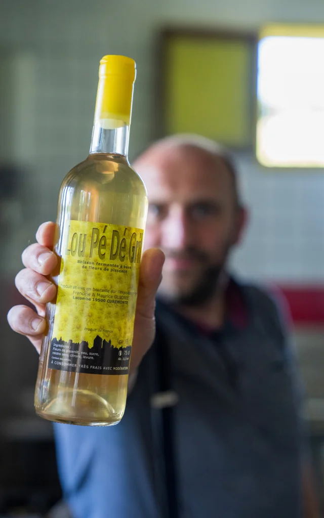 Lou Pé Dé Gril, la boisson fermentée à base de fleurs de pissenlit made in Corrèze.