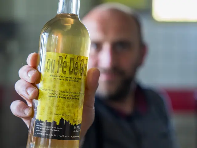 Lou Pé Dé Gril, la boisson fermentée à base de fleurs de pissenlit made in Corrèze.