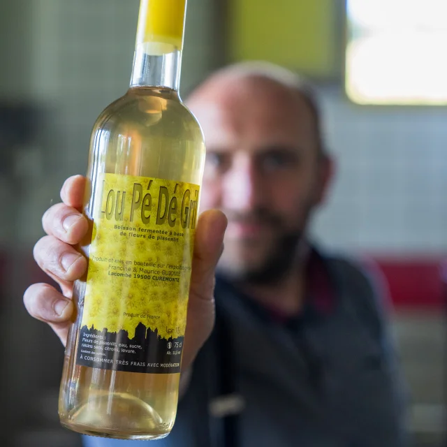 Lou Pé Dé Gril, la boisson fermentée à base de fleurs de pissenlit made in Corrèze.