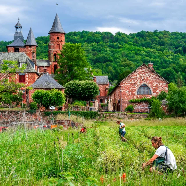 Collonges Restaurant Maraicher Potager Gregory Rohart