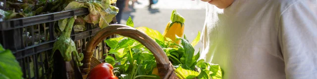 Panier-legumes-Marche-de-Pays-Monceaux-sur-Dordogne-MalikaTurin.jpg-1920px.jpg