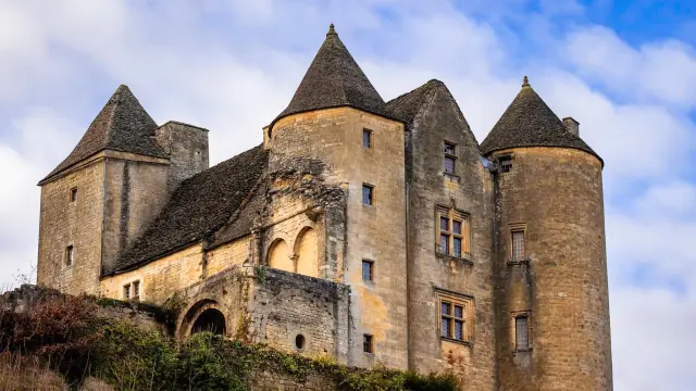 Le Château de Salignac