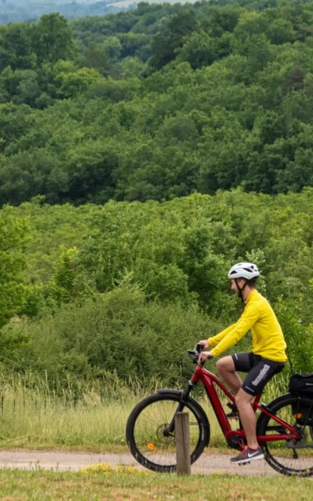 Cyclo Ramshorn 300dpi 018.jpg 1920px