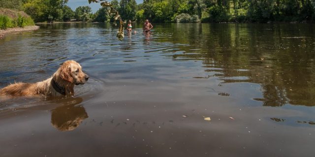Baignade dans la Dordogne à Vayrac