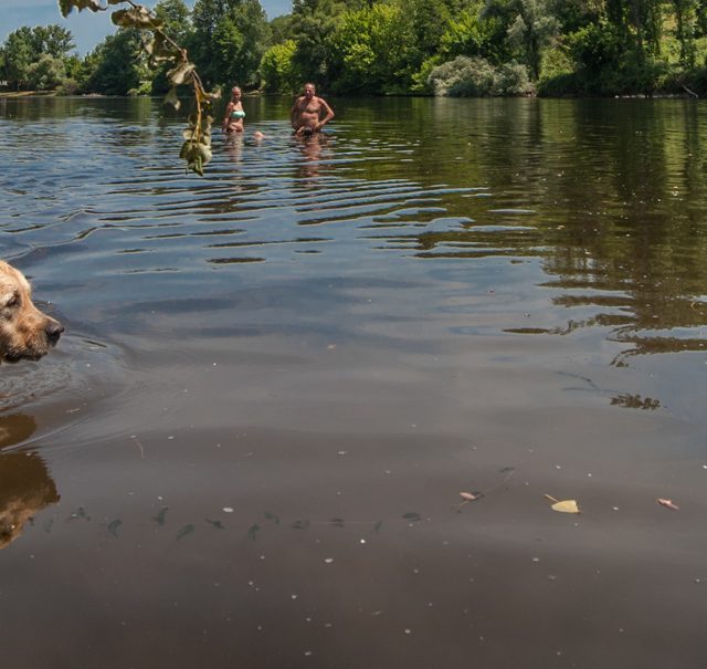 Baignade dans la Dordogne à Vayrac