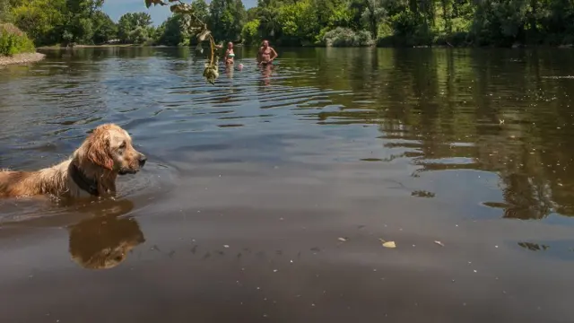 Baignade dans la Dordogne à Vayrac