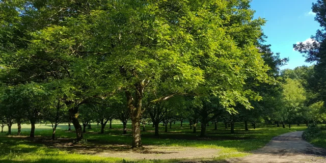 ENS Couasne de FLoirac