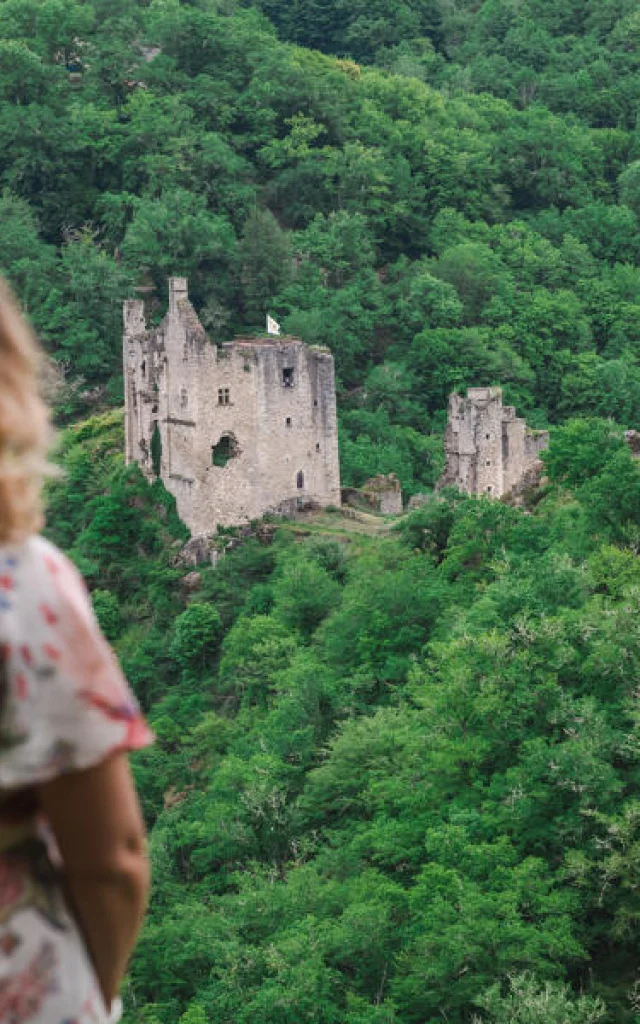 PANORAMA SUR LES TOURS DE MERLE