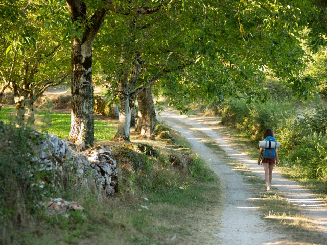 Chemin de Compostelle