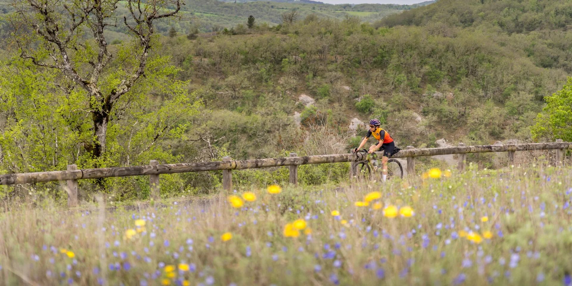 Cycliste au dessus du Canyon de l'Alzou