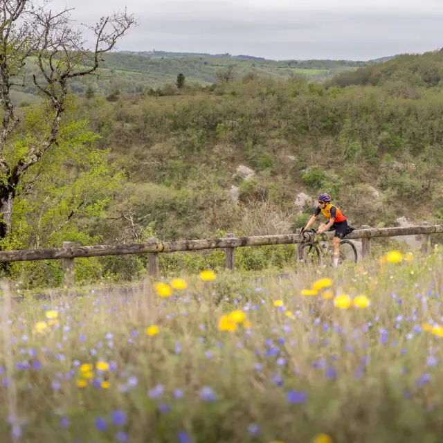 Cycliste au dessus du Canyon de l'Alzou